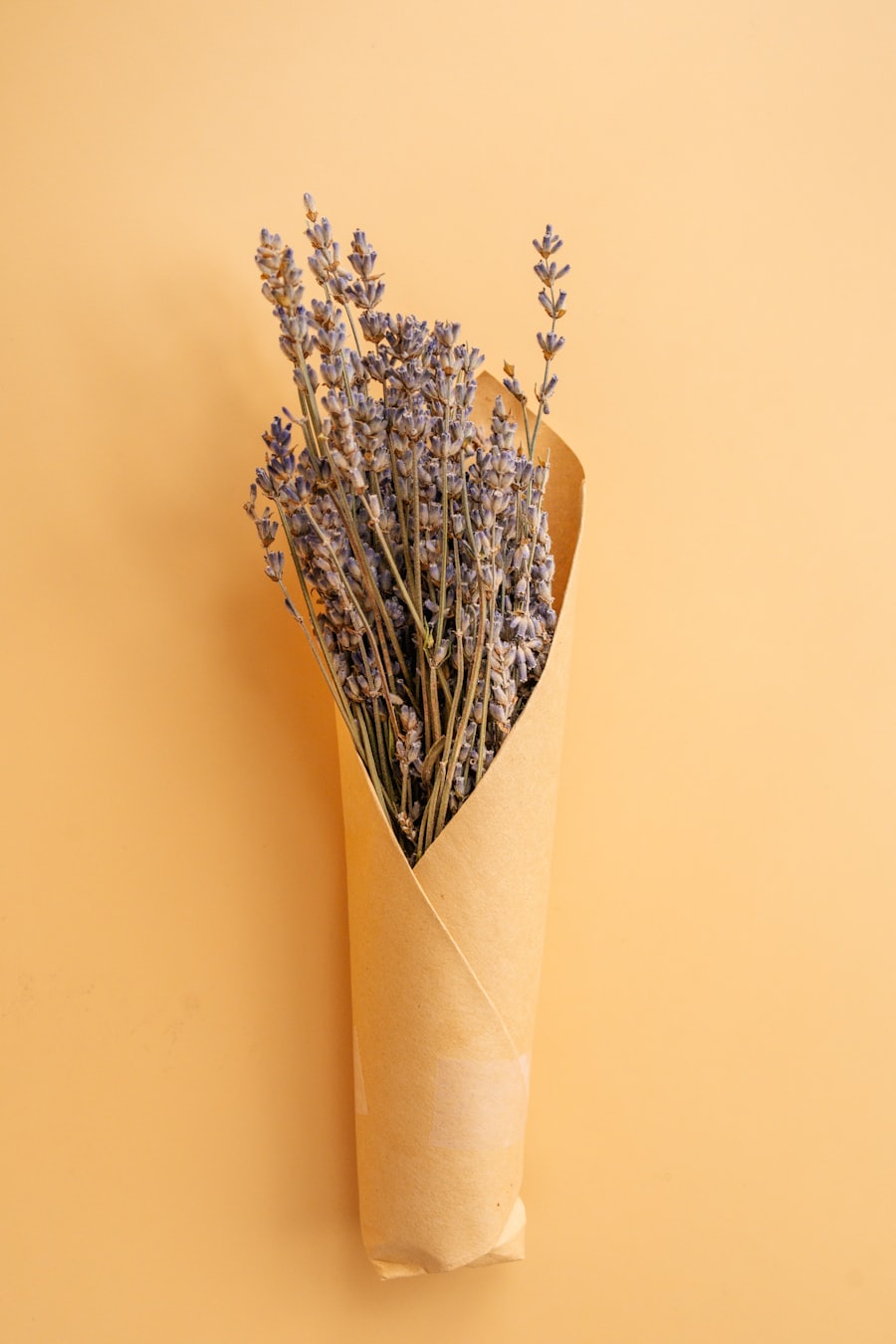 Lavender Dream